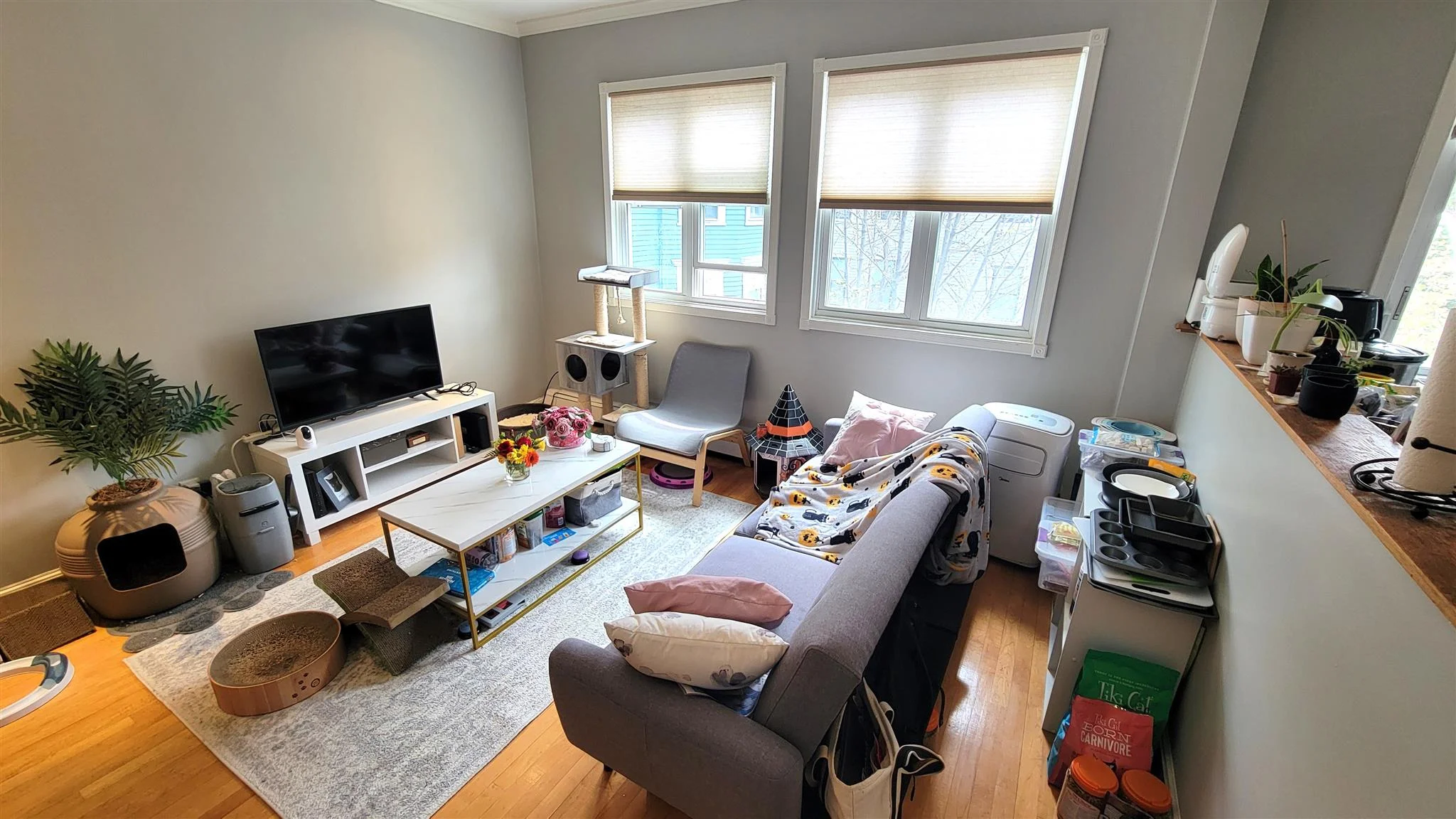 88 Hancock St, Mid-Cambridge