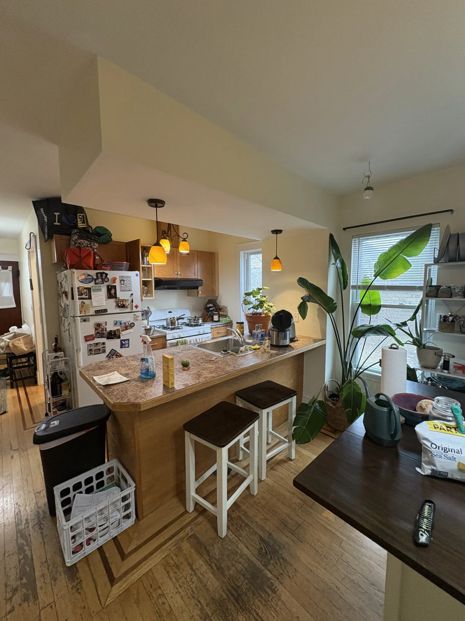 28 Cherry St, Spring Hill