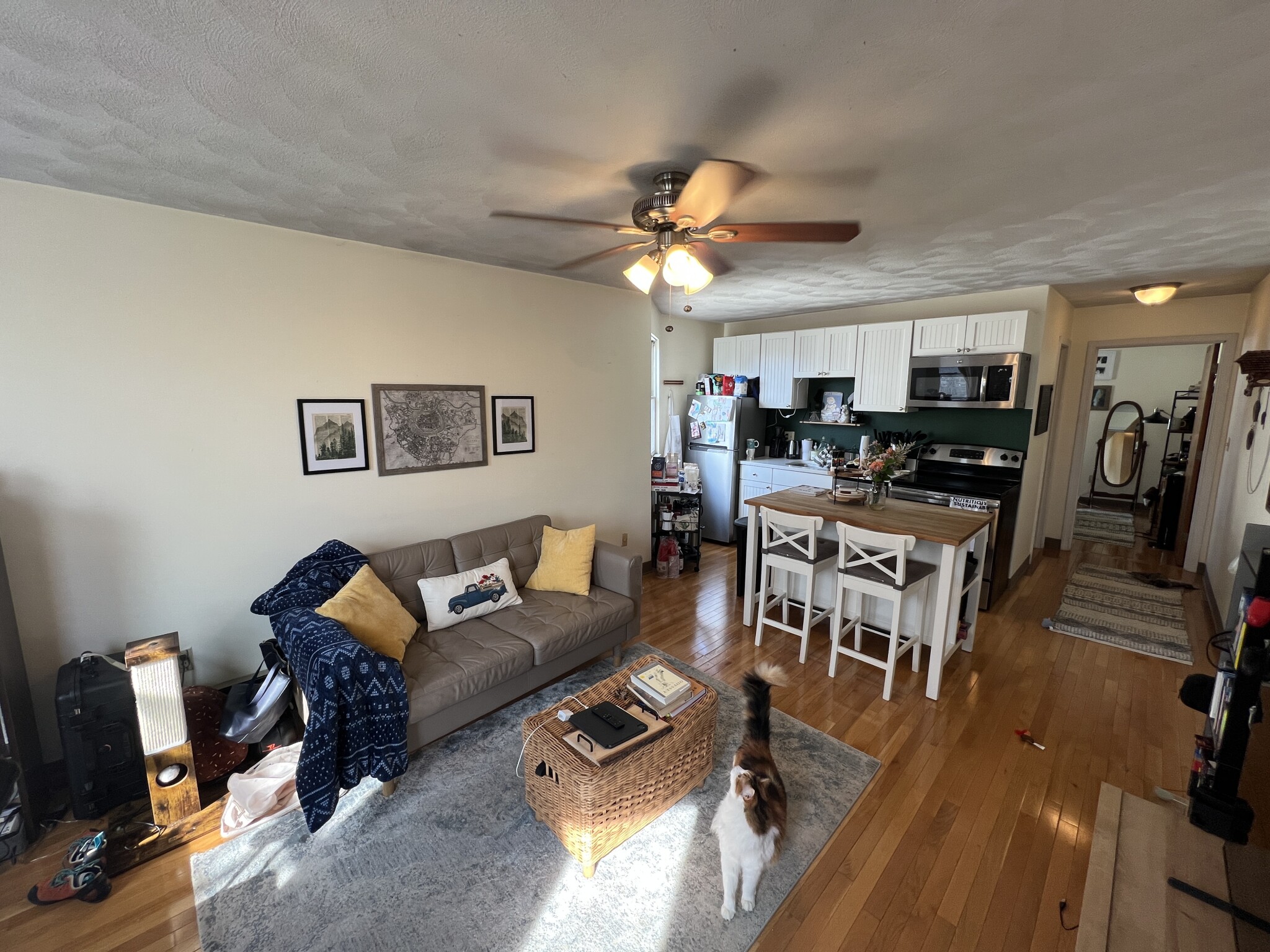 217 Holland St, Teele Square