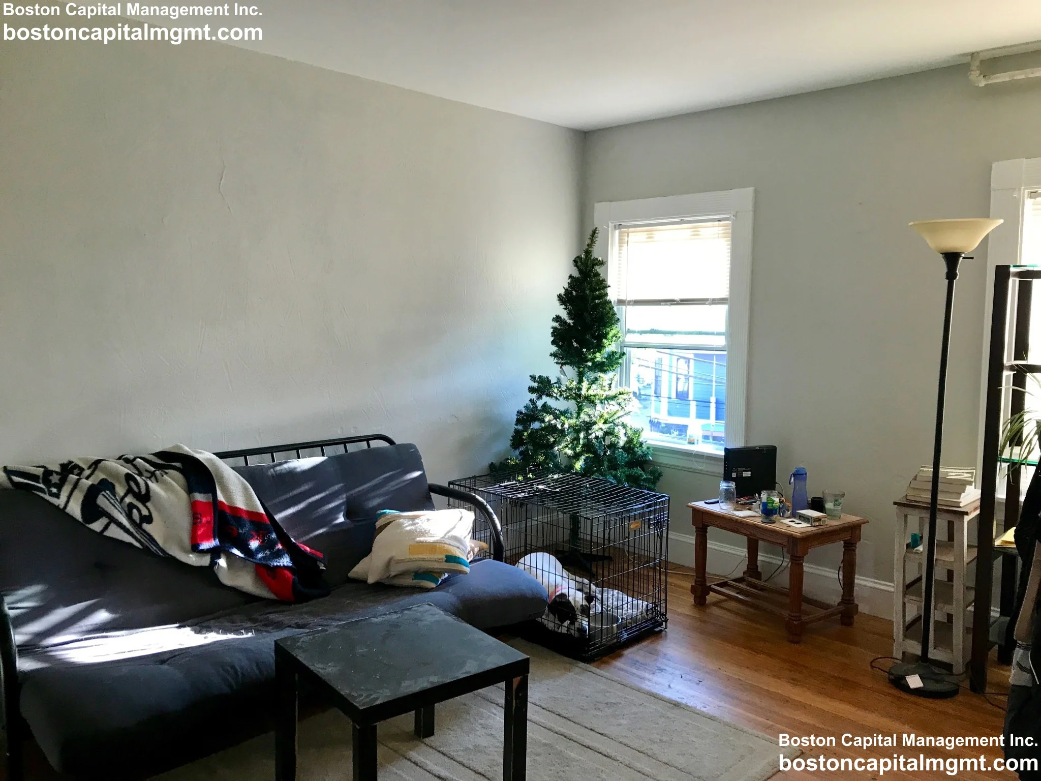 76 Linden St, Brighton