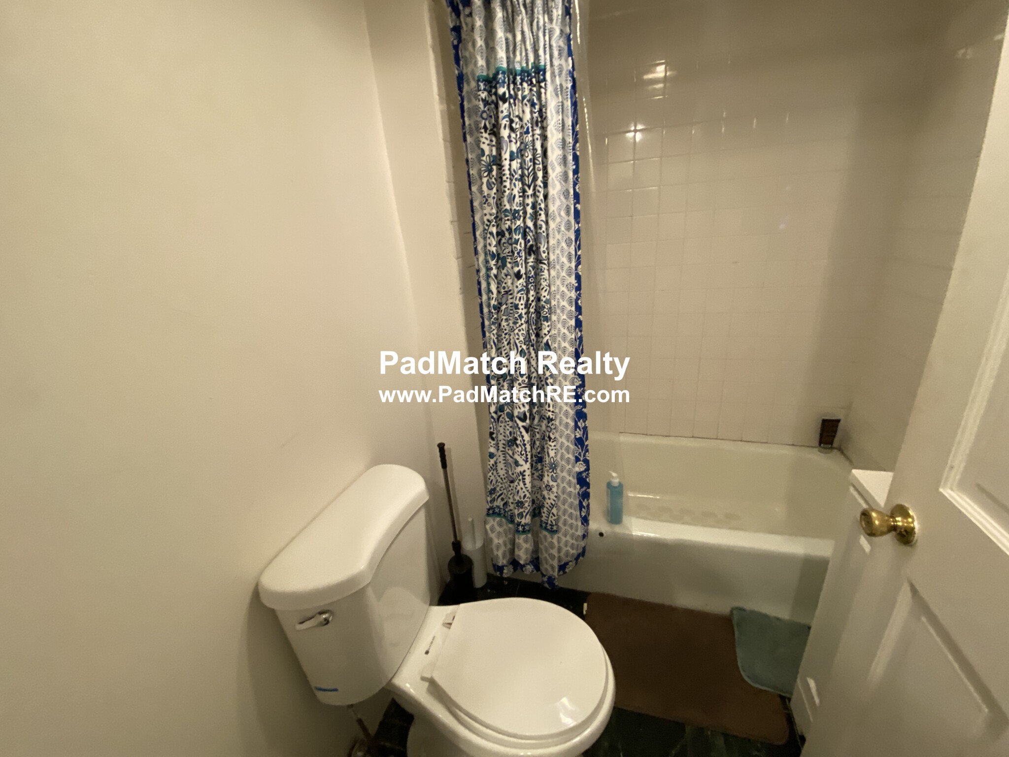 11 Scottfield Rd, Brighton