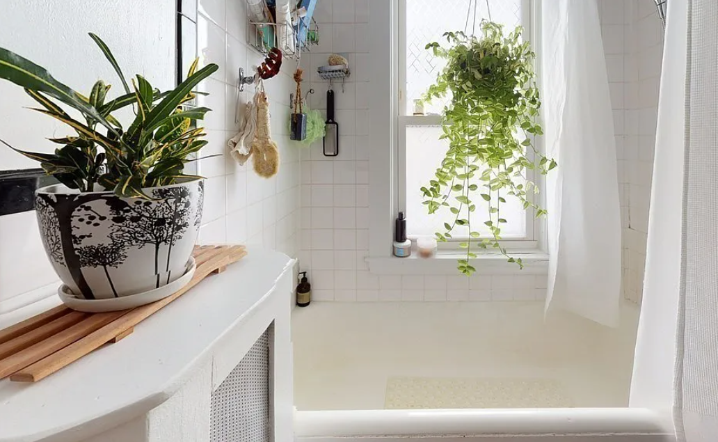 4 Field Rd, Arlington