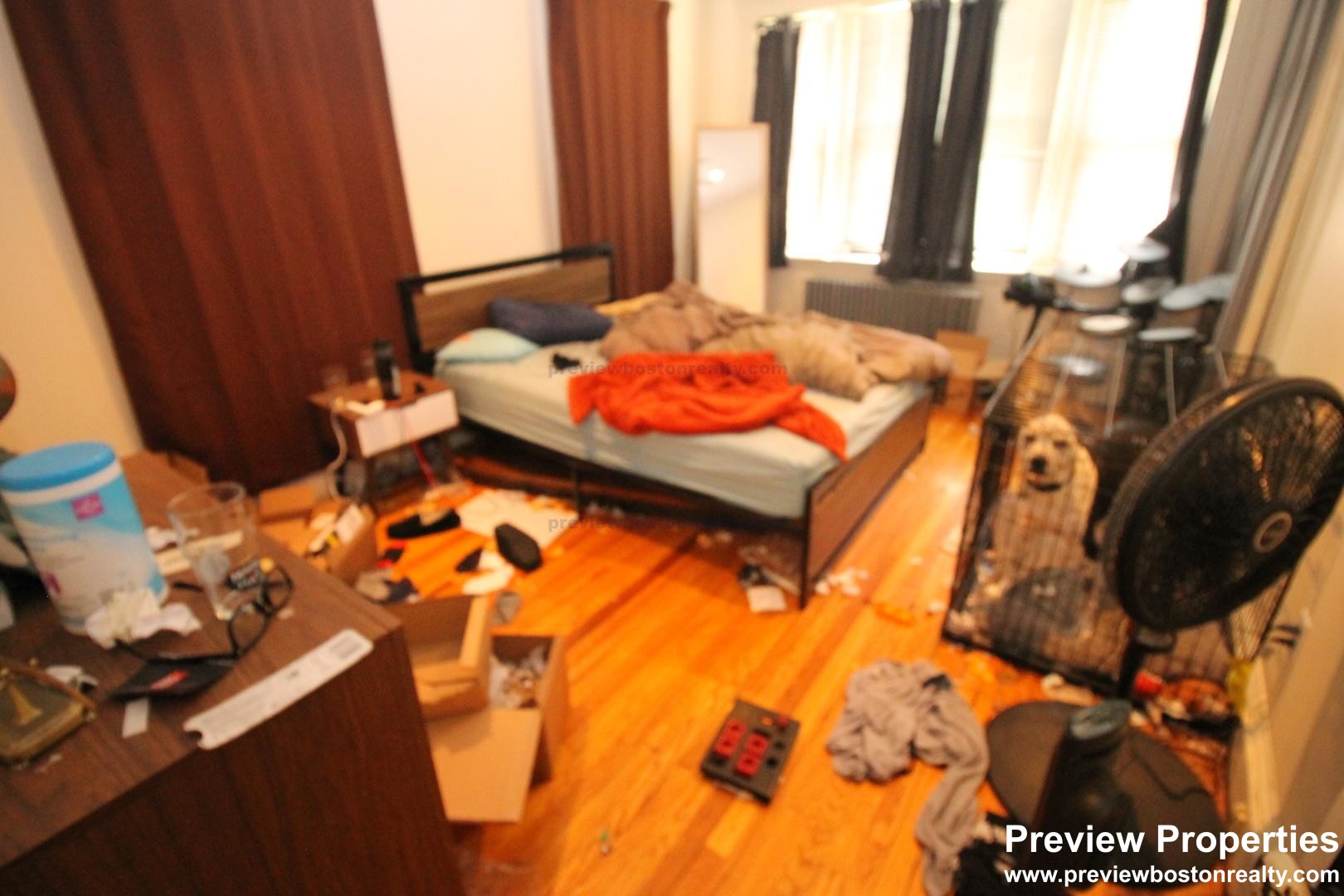 240 Kelton, Brighton