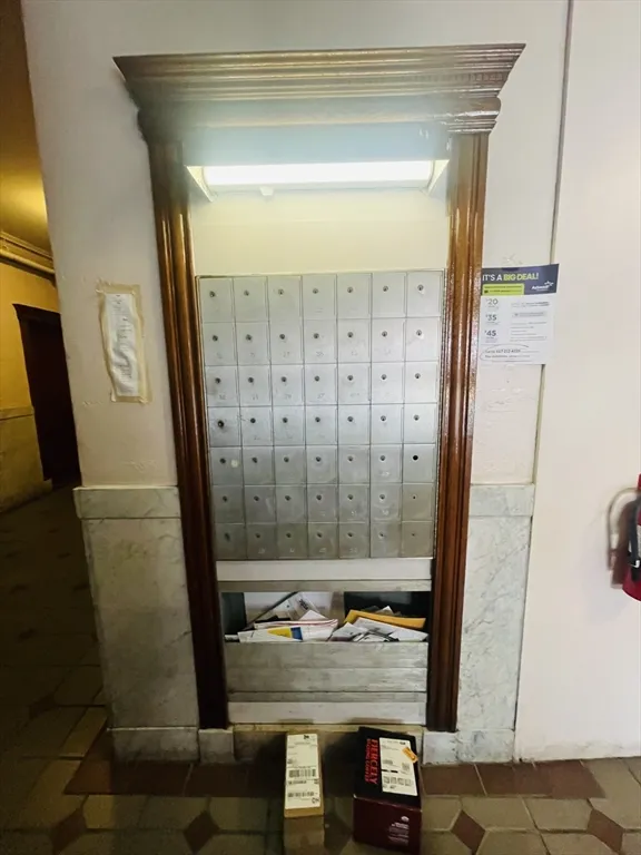 11 Tetlow St, Longwood