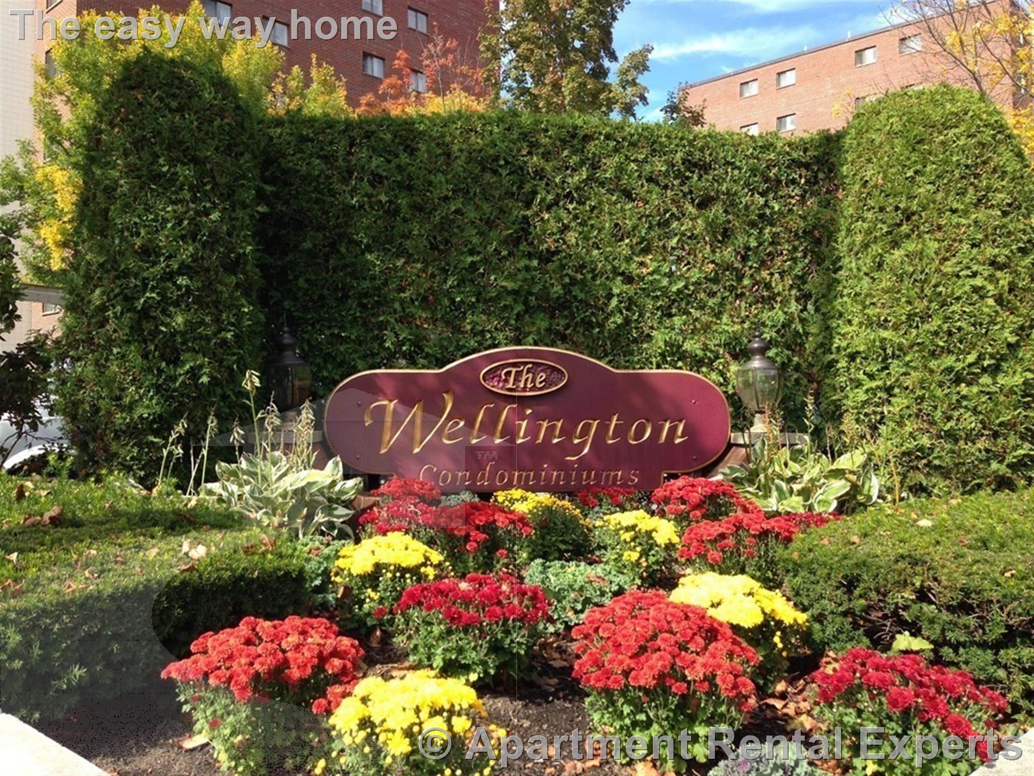 28 9th St, Wellington