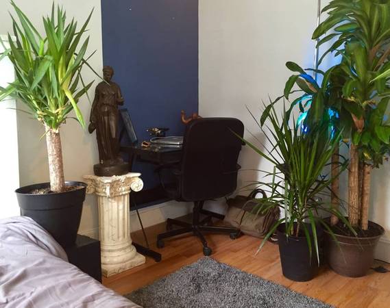 1 South Whitney St, Mission Hill