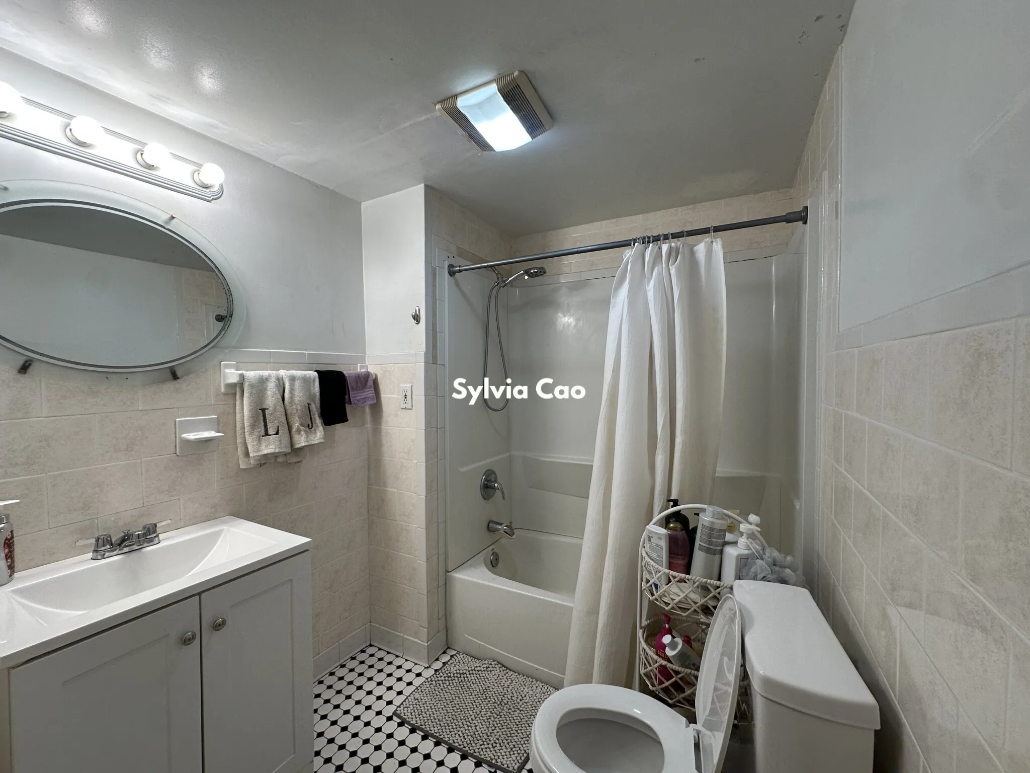 56 Egmont St, North Brookline