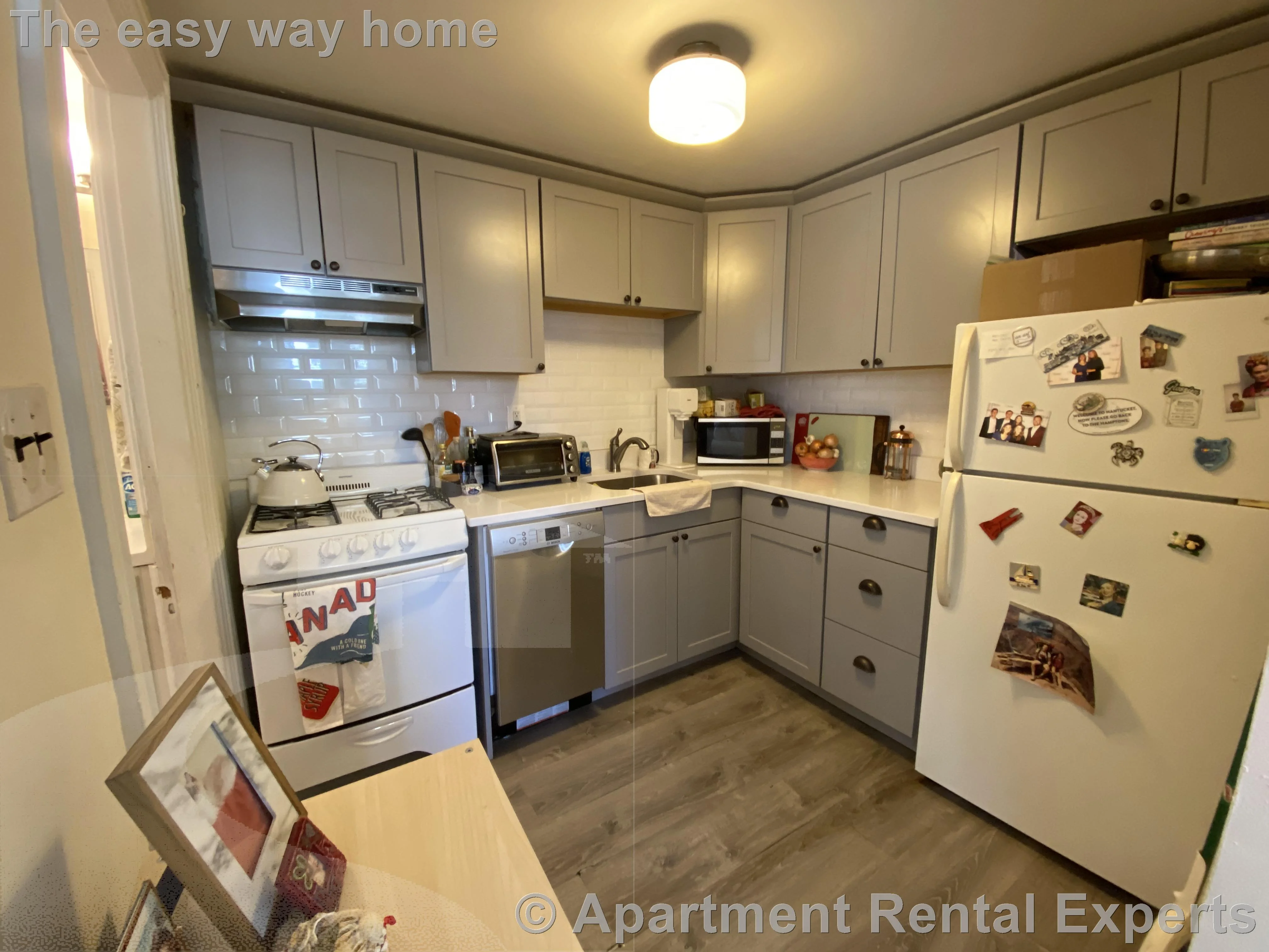 378 Harvard St, Harvard Square