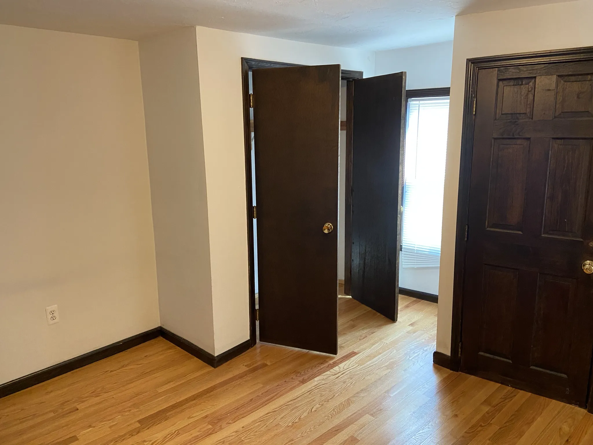 8 Shepard St, Brighton