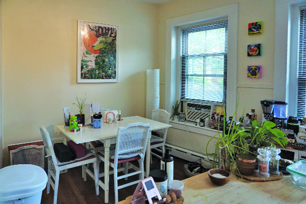 112 Willow St, Wellington-Harrington