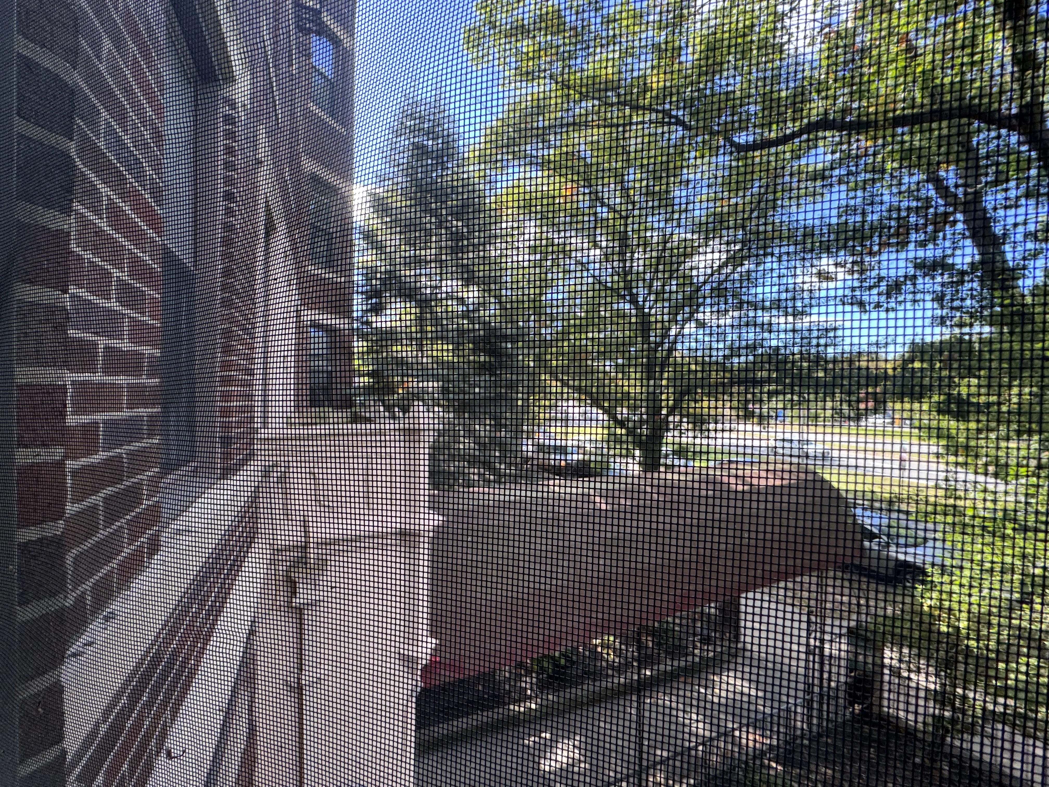 364 Riverway, Mission Hill