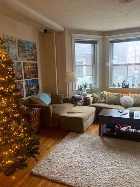 12 Euston St, Brookline