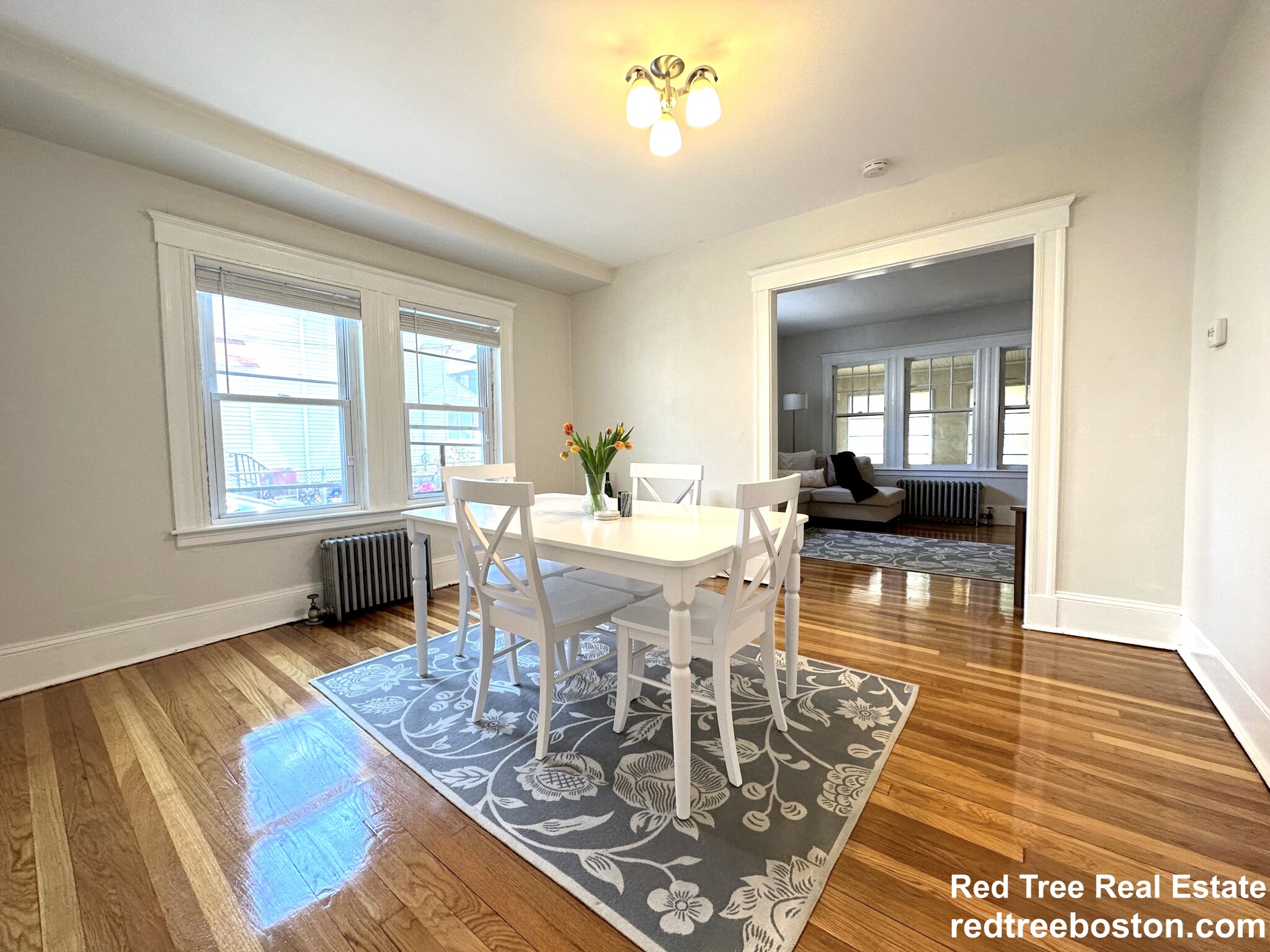 19 Larose Pl, Brighton