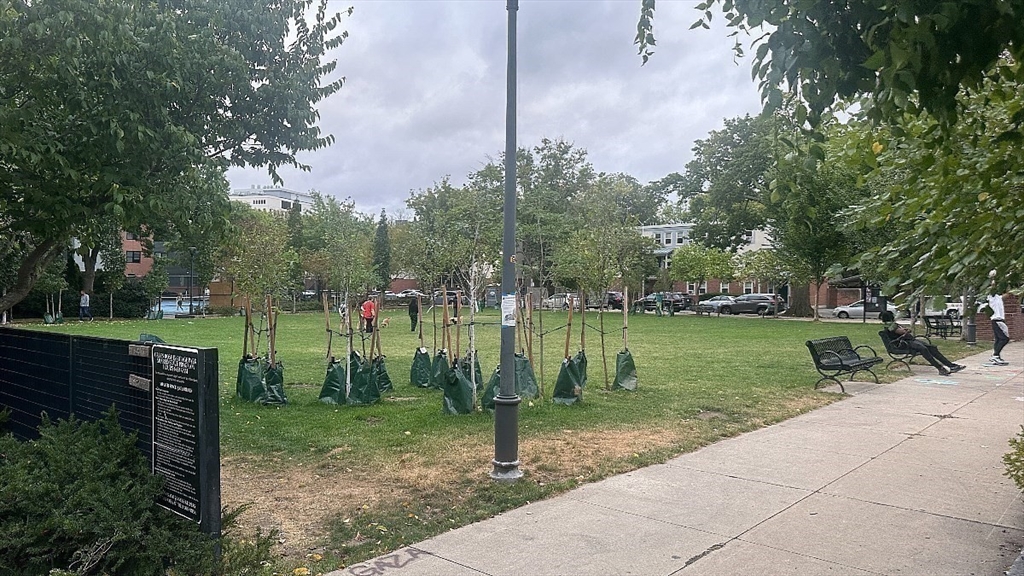 231 1/2 Broadway, Kendall Square