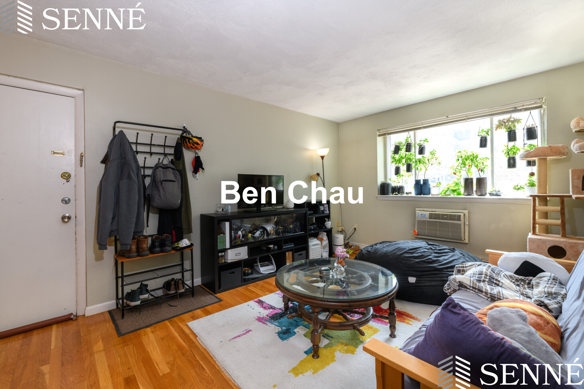 259 Summer St, Spring Hill