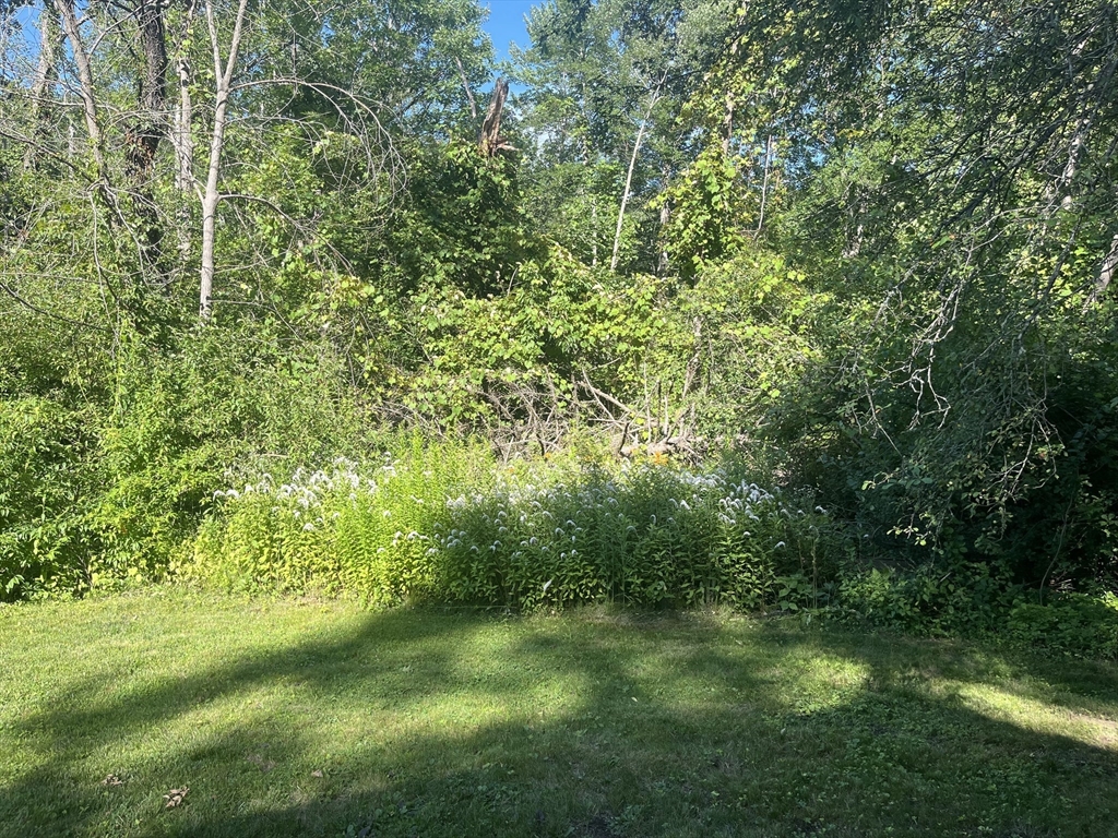 16 Foster Rd, Lexington