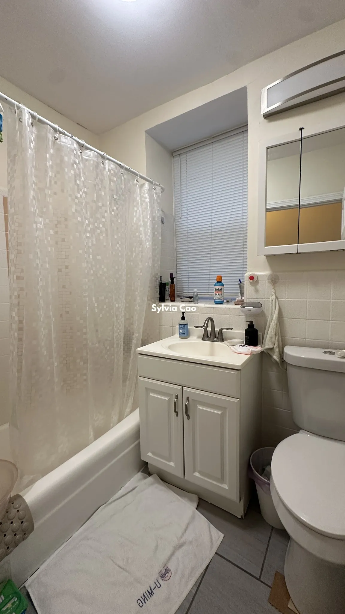56 Brighton Ave, Brighton