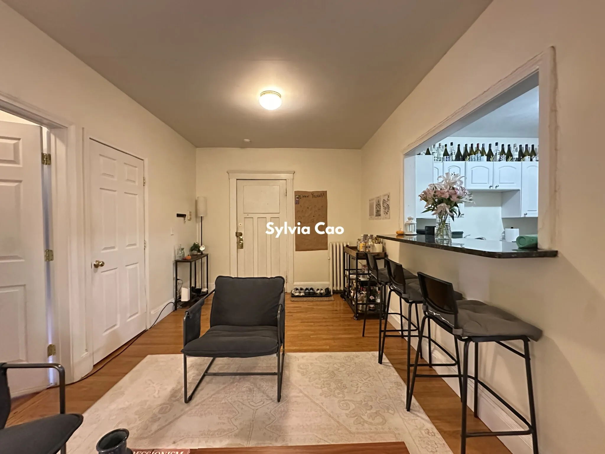 54 Egmont St, North Brookline