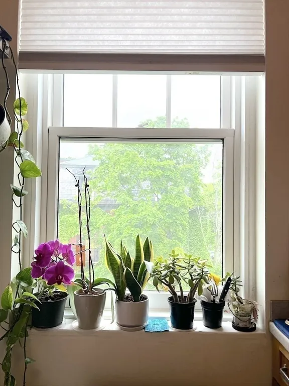 371 Harvard St, Mid-Cambridge