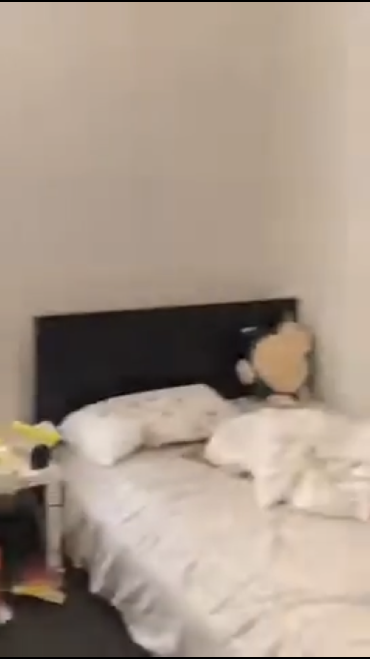 878 Huntington Ave, Mission Hill