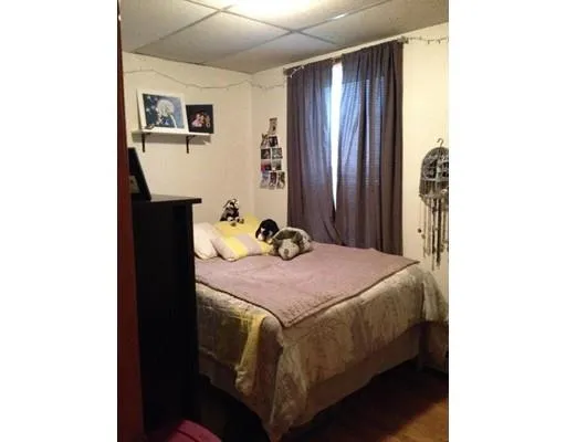 5 Oswald St, Mission Hill