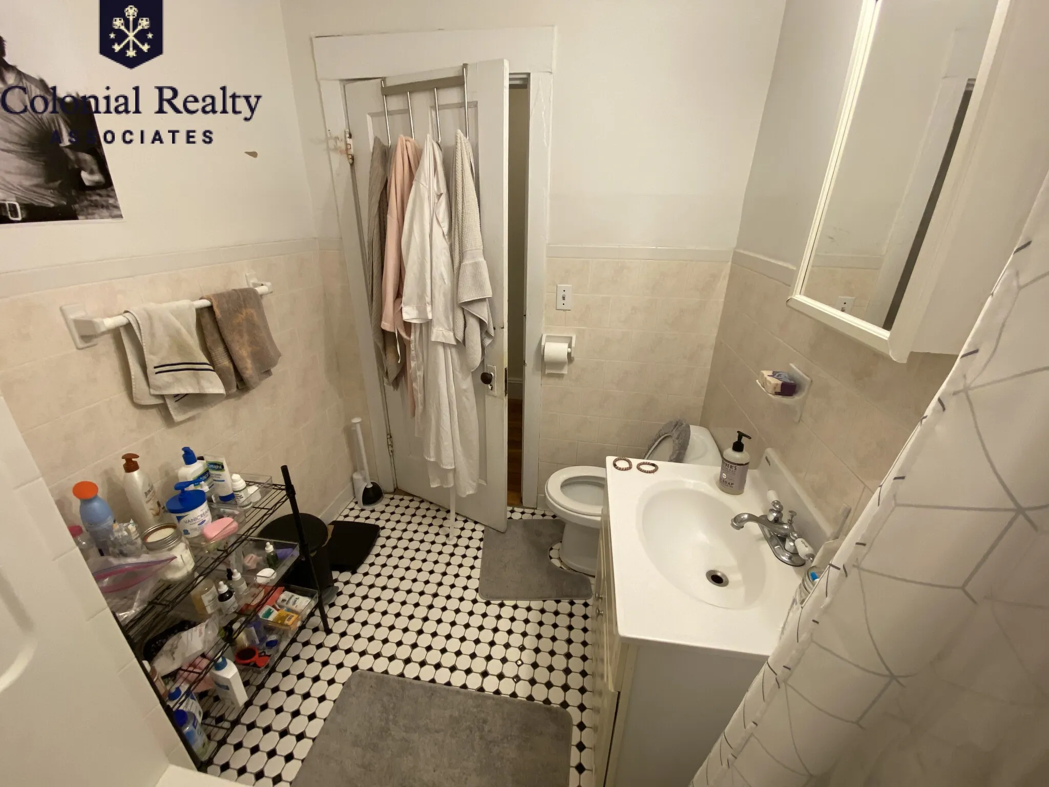 62 Egmont St, North Brookline