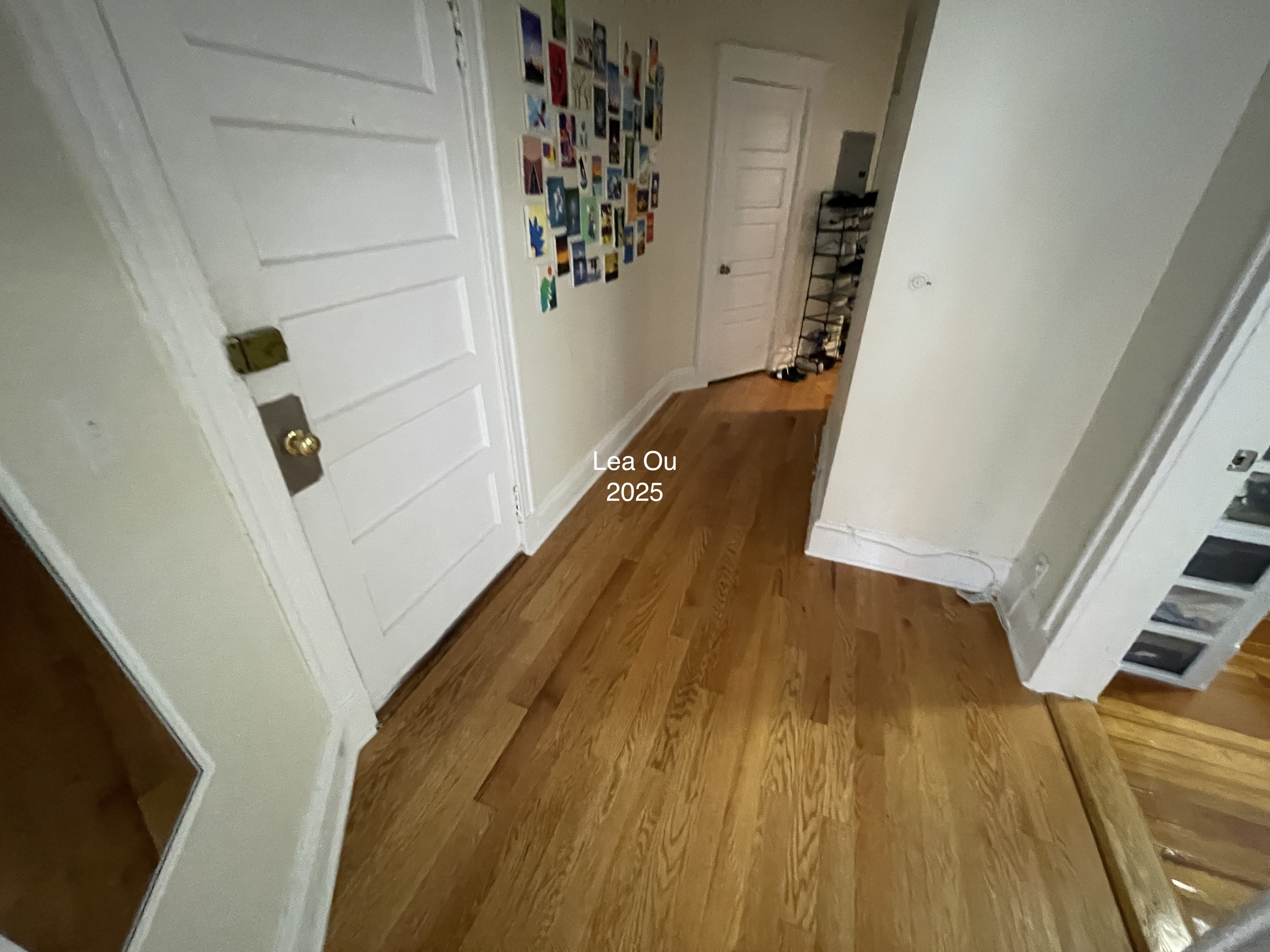 7 Mount Hood Rd, Brighton