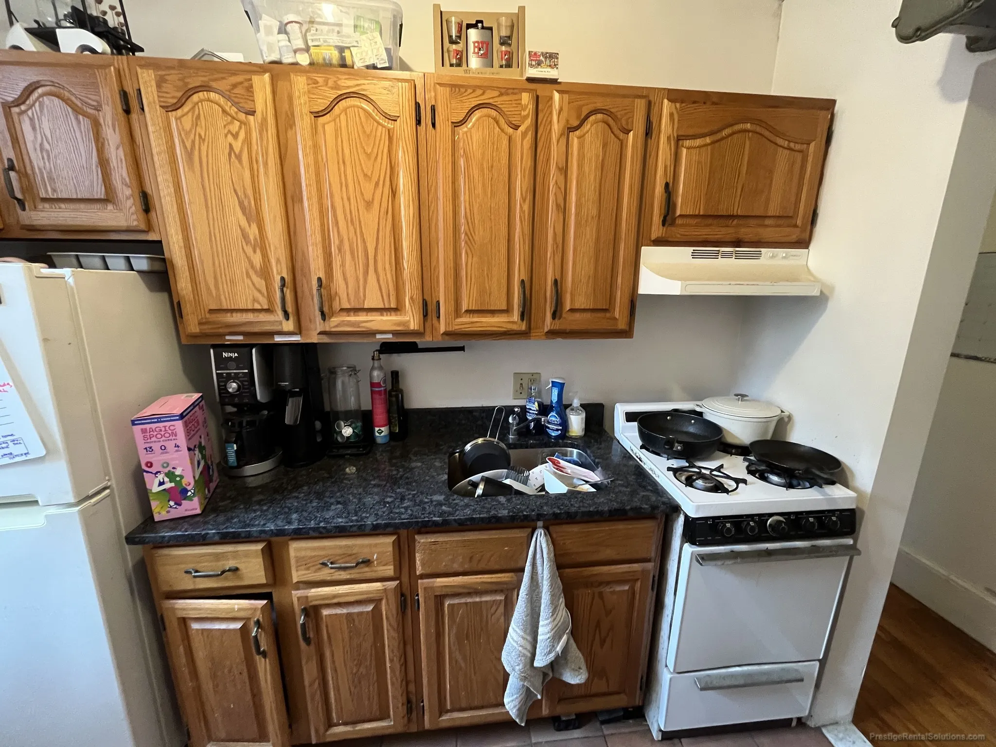 11 Scottfield Rd, Brighton