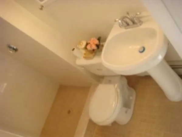 48 Porter St, Wellington-Harrington