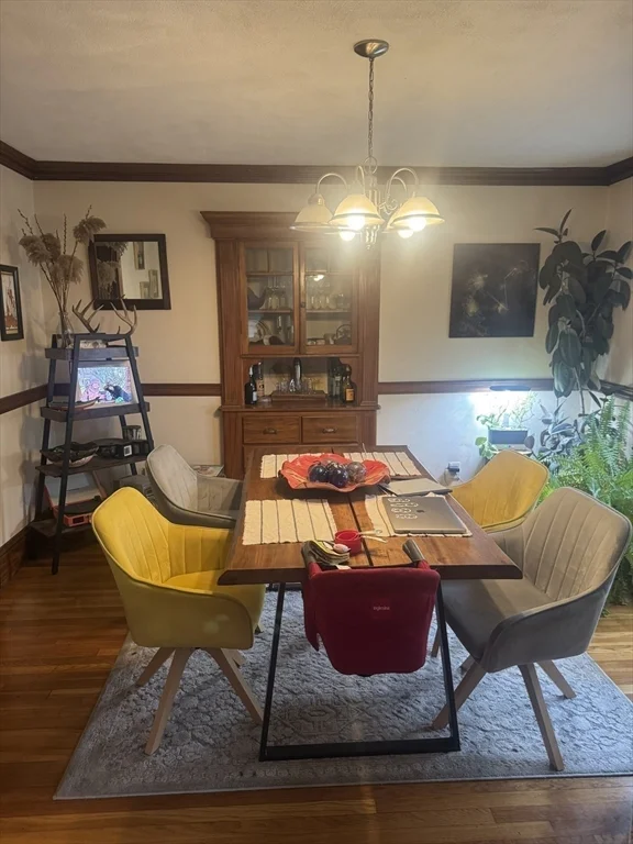 29 Brewster St, Medford