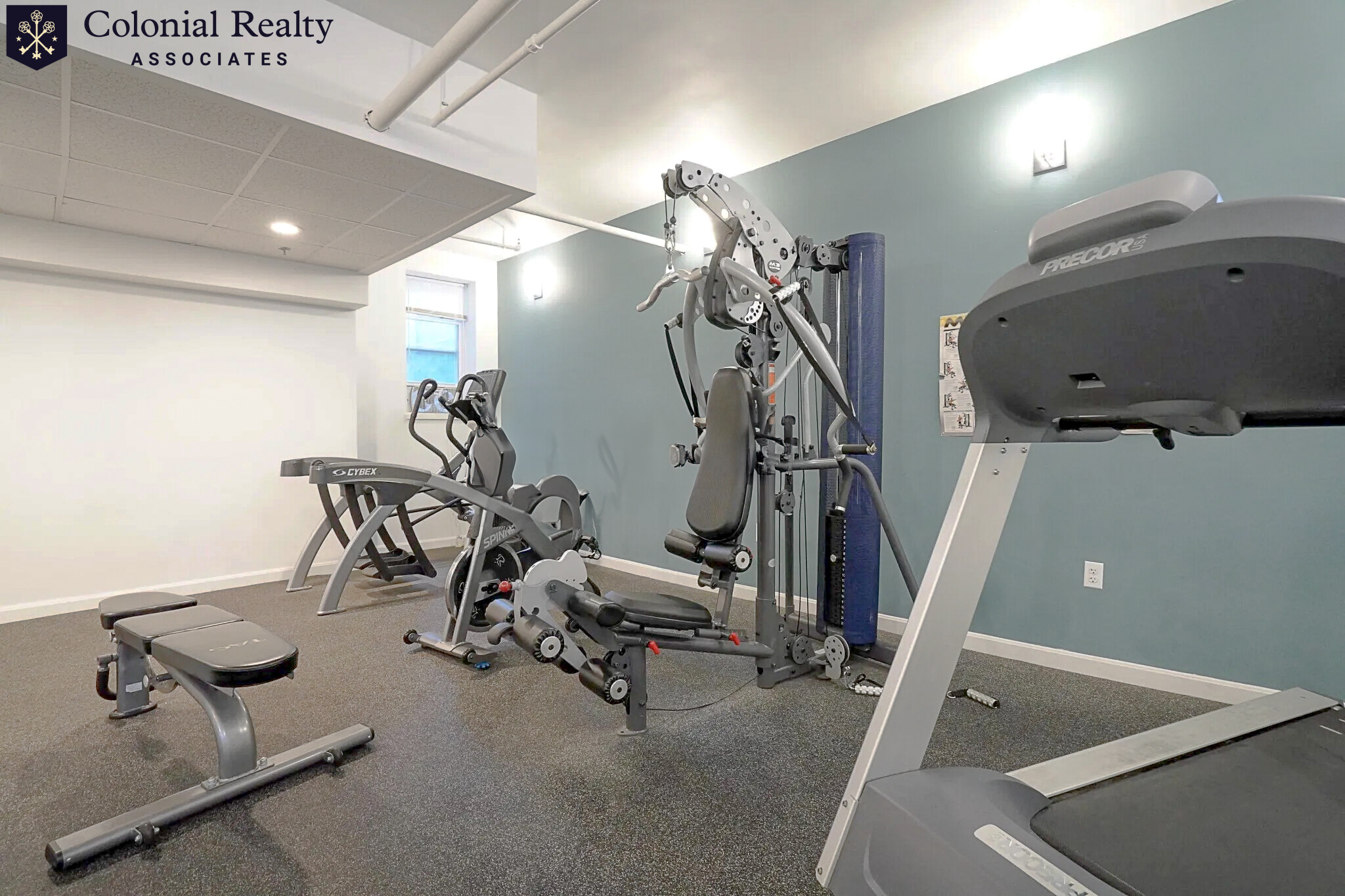 10 Orkney Rd, Brighton