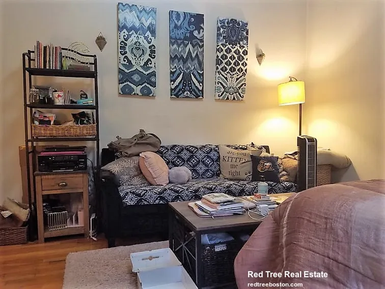 317 Allston St, Brighton