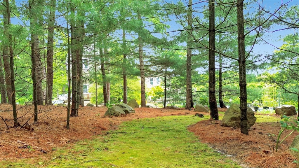 17 Bourne Point Rd, Wareham