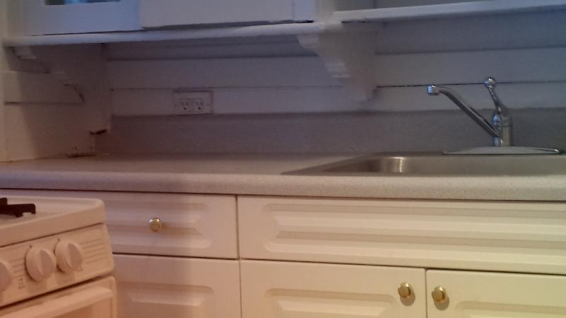 19 Agassiz St, Neighborhood Nine