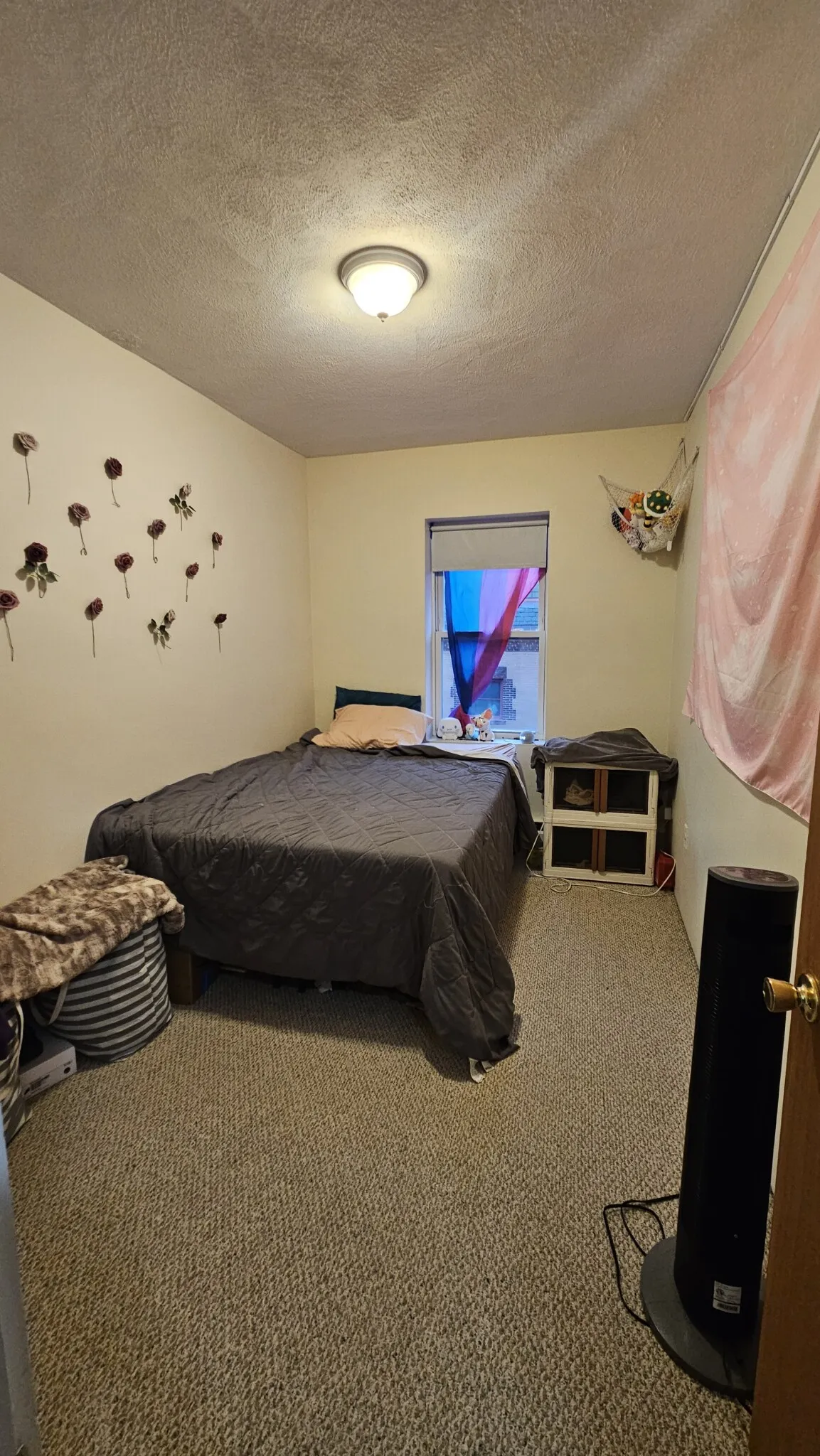 111 Norway St, Fenway