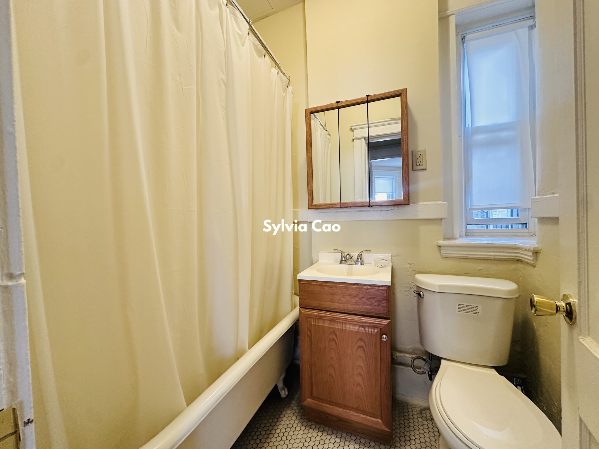 221 Kelton St, Brighton