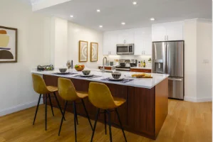 101 Asheville Rd, Chestnut Hill