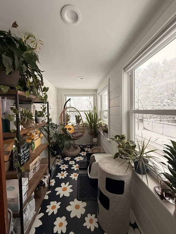 127 Eldridge St, Taunton