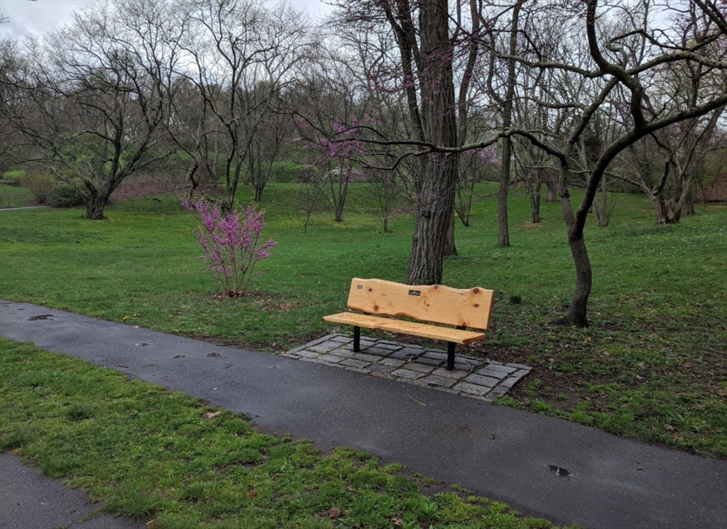 9 South St, Jamaica Plain