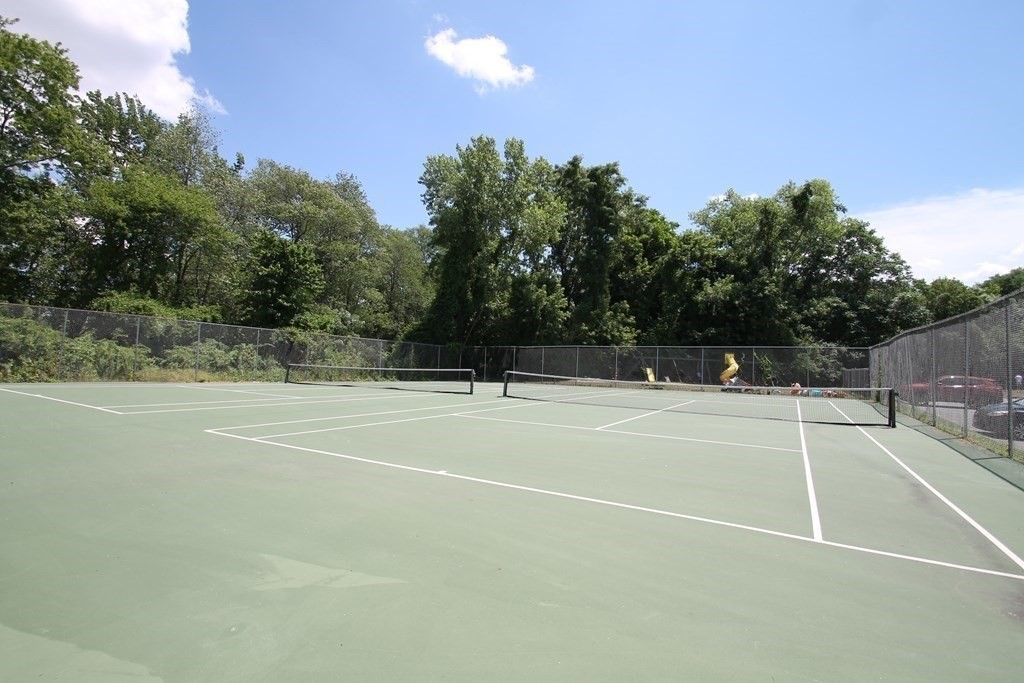 28 Bryon Rd, Chestnut Hill