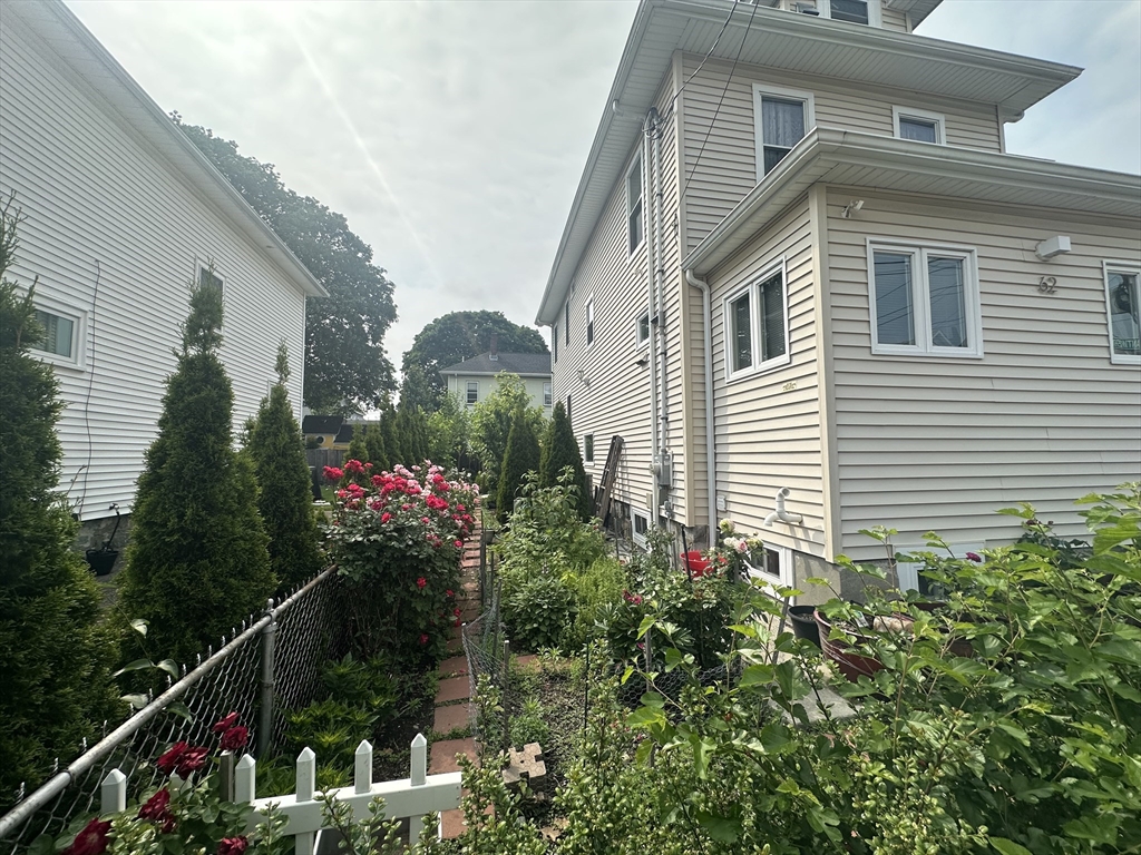 62 Antwerp, Brighton