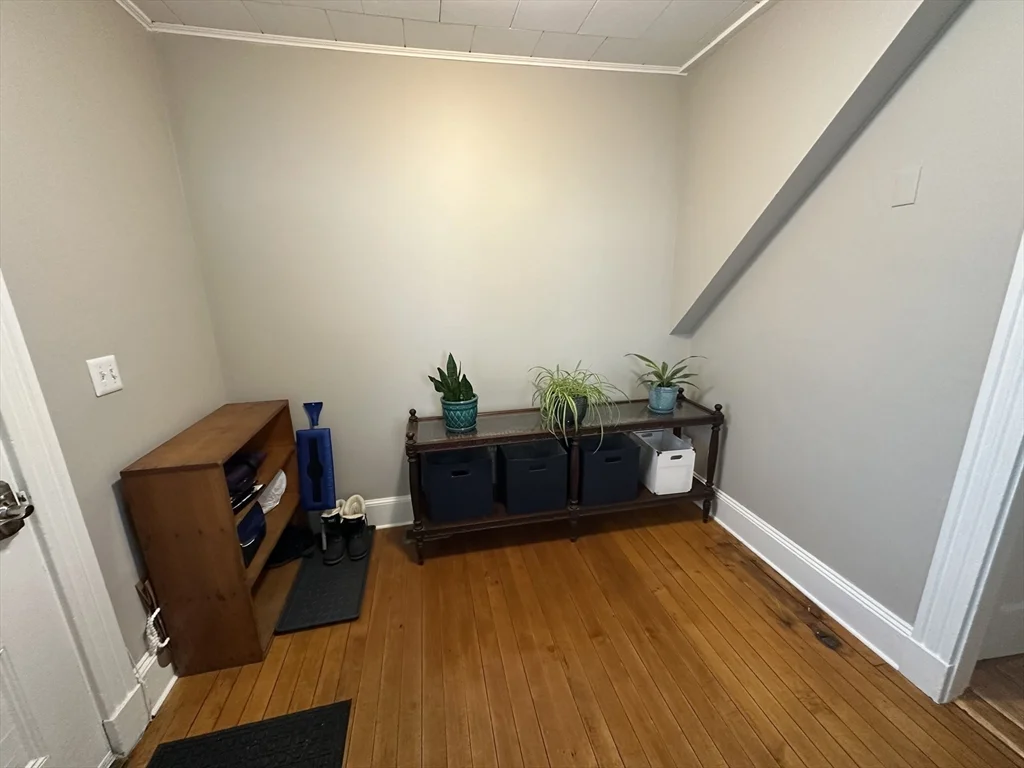 11 Crescent Ave, Norwood