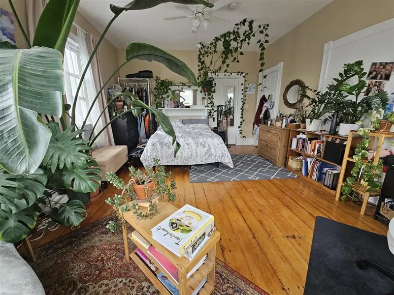 24 Linden Ave, Spring Hill