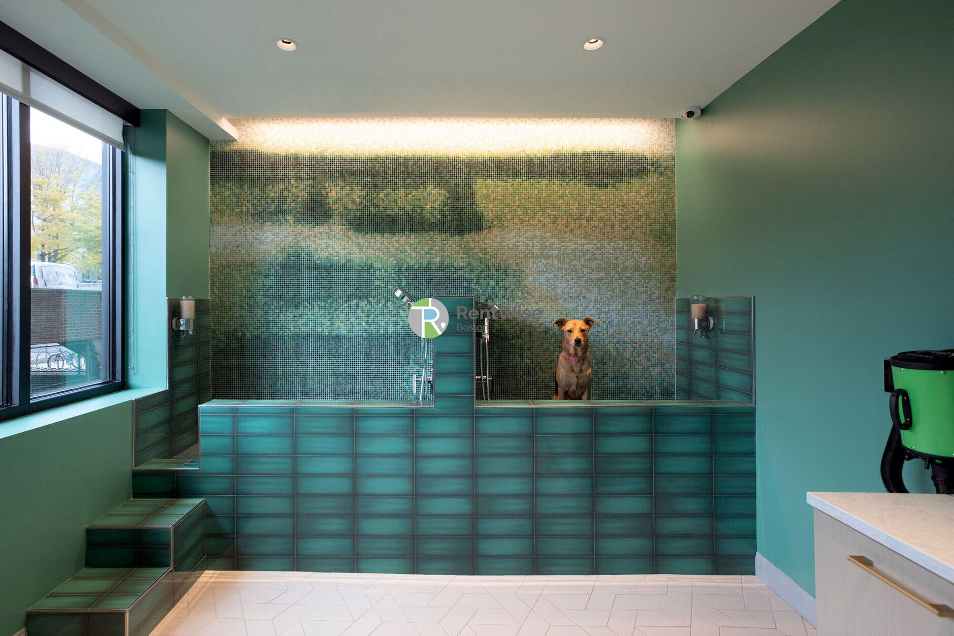 75 Saint Alphonsus St, Mission Hill