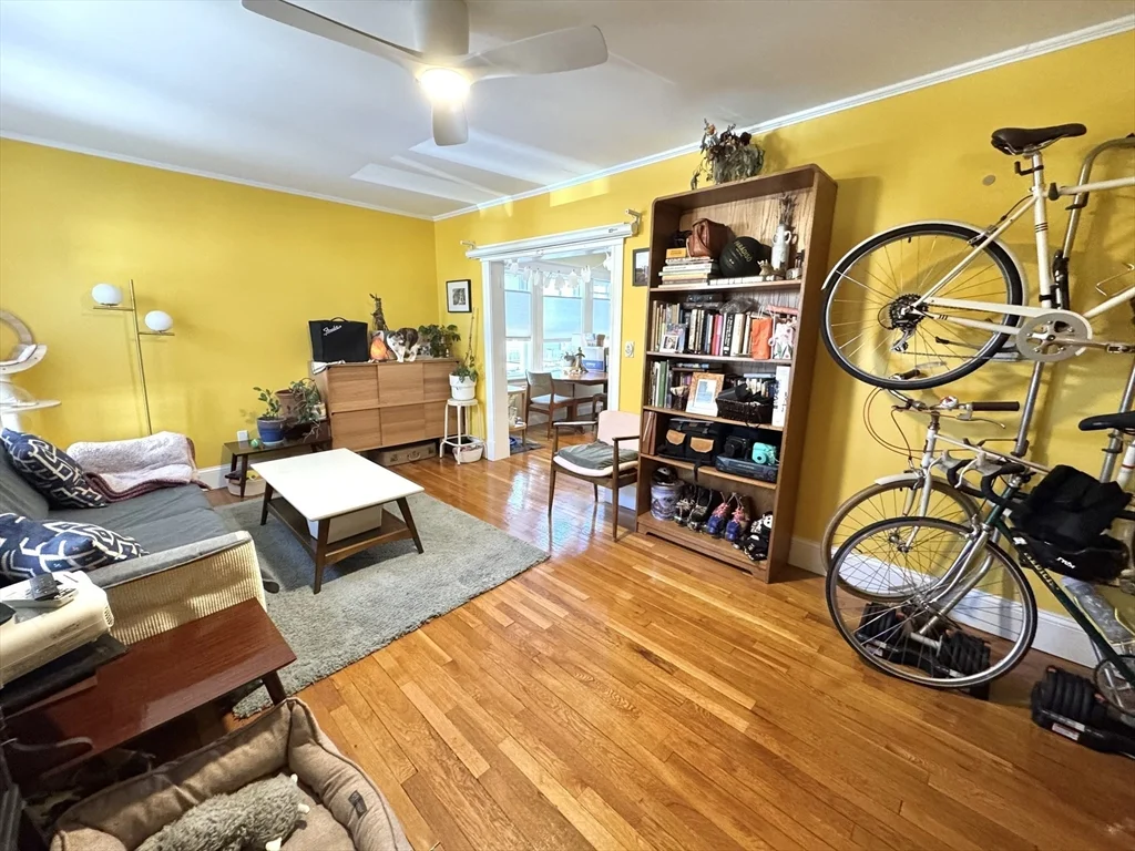 66 Marshall St, Medford