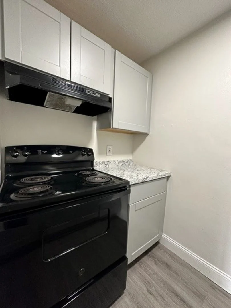 731 River St, Hyde Park