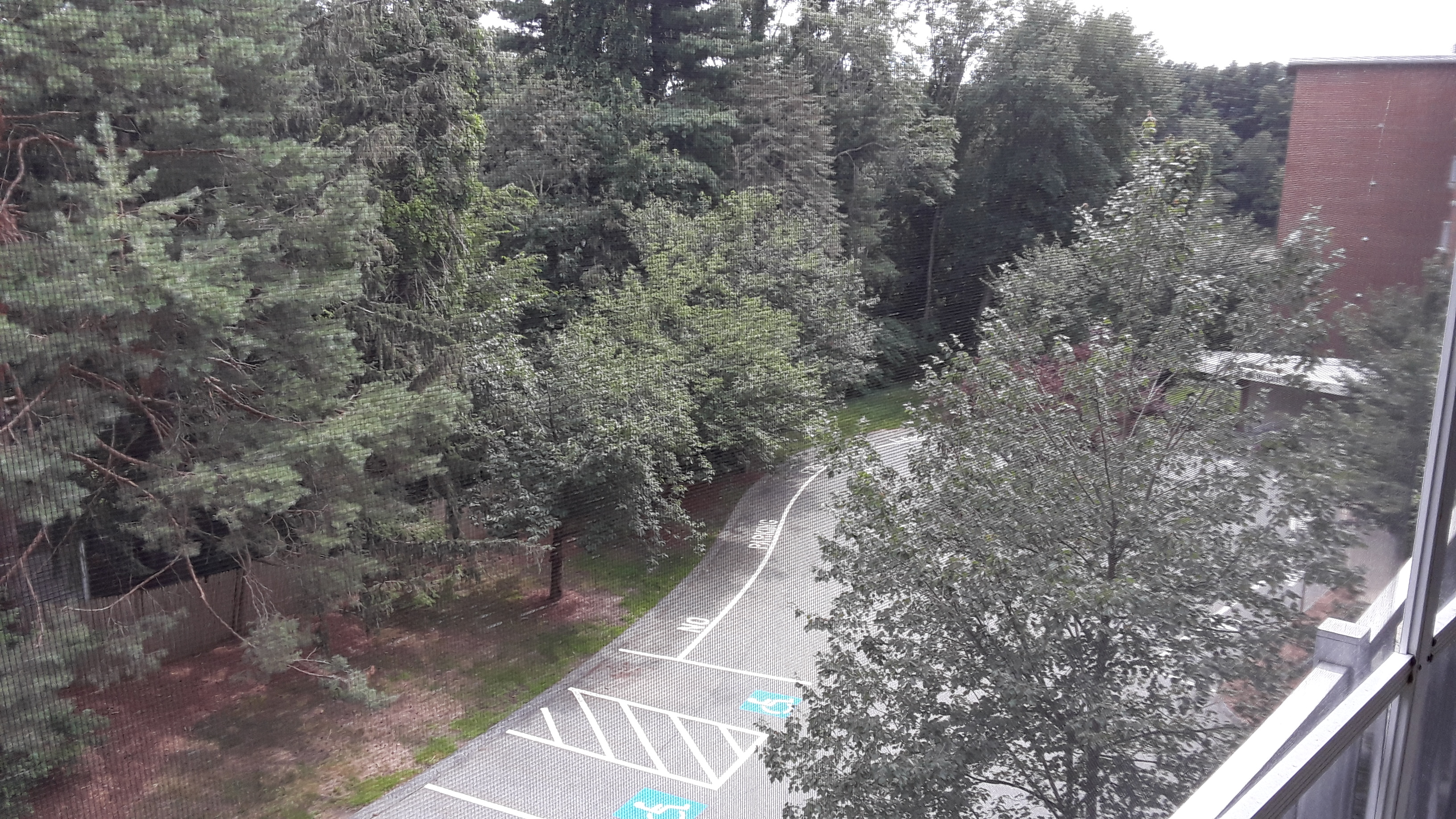 14 Temple St, Framingham