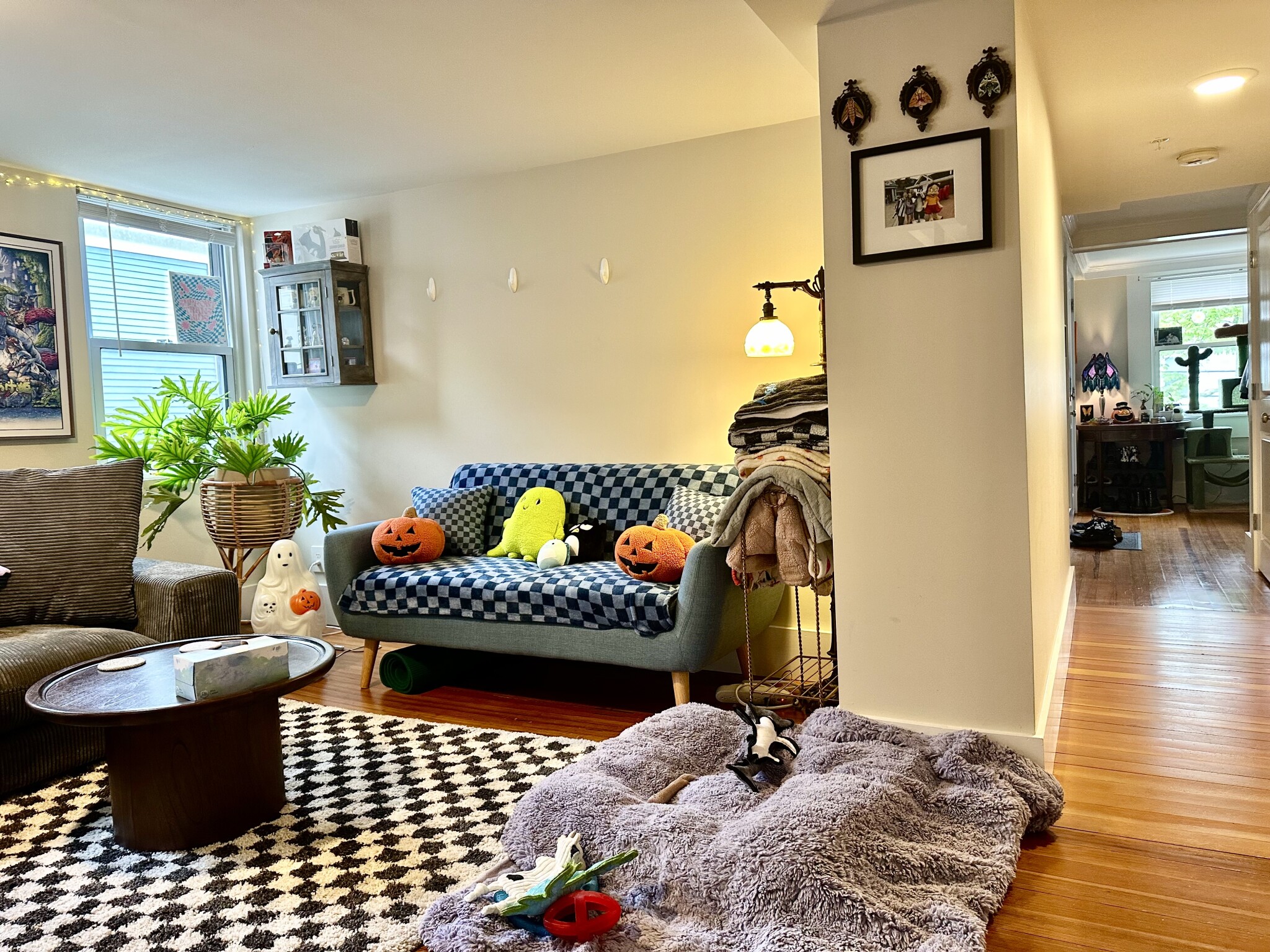 11 Forrester St, Salem