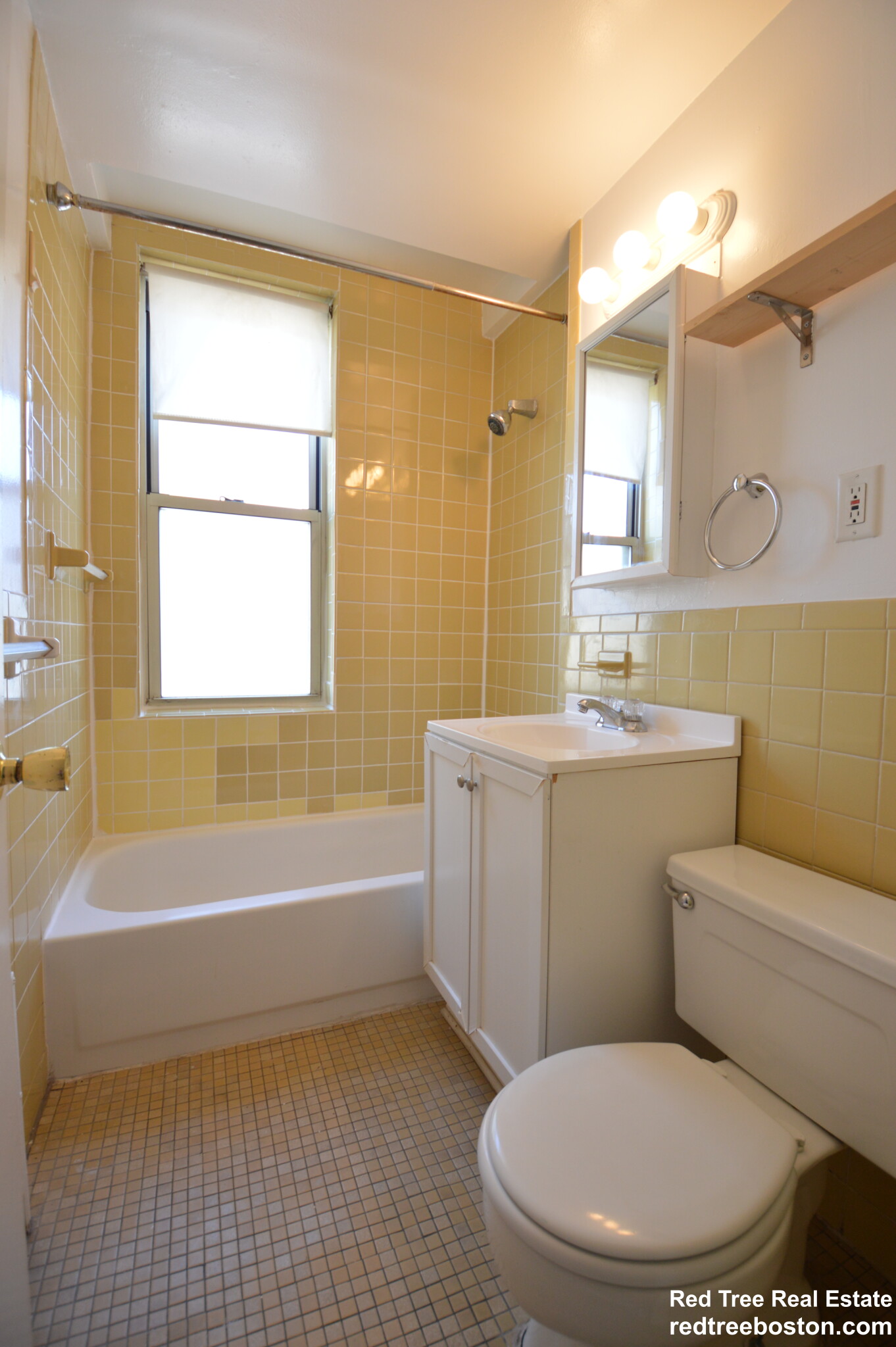 20 Colborne Rd, Brighton