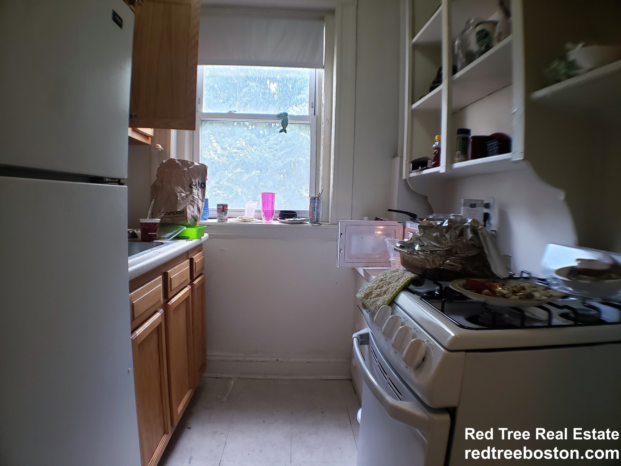 1163 Boylston St, Fenway